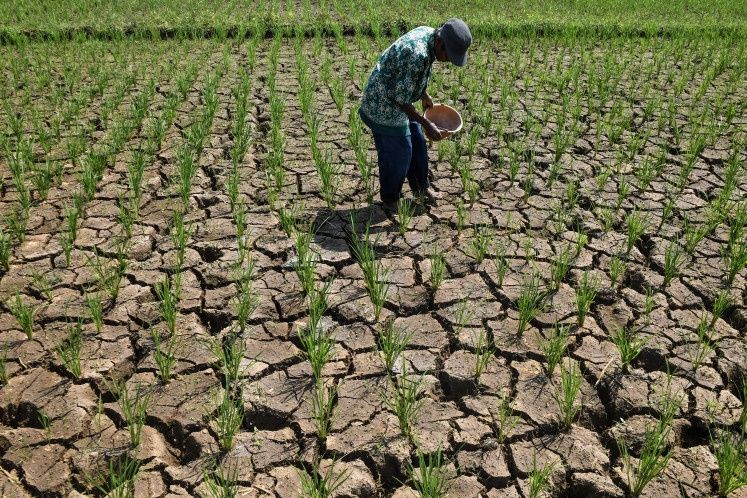 Indonesia's Drought Crisis Deepens as El Niño Intensifies Water Shortages Across the Archipelago