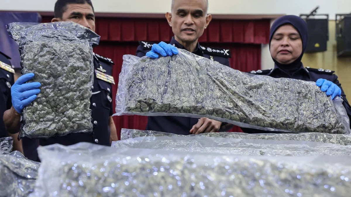 Police Bust Major Cannabis Operation at KLIA; 38 Arrested as Half-Tonne Haul Seized Since January