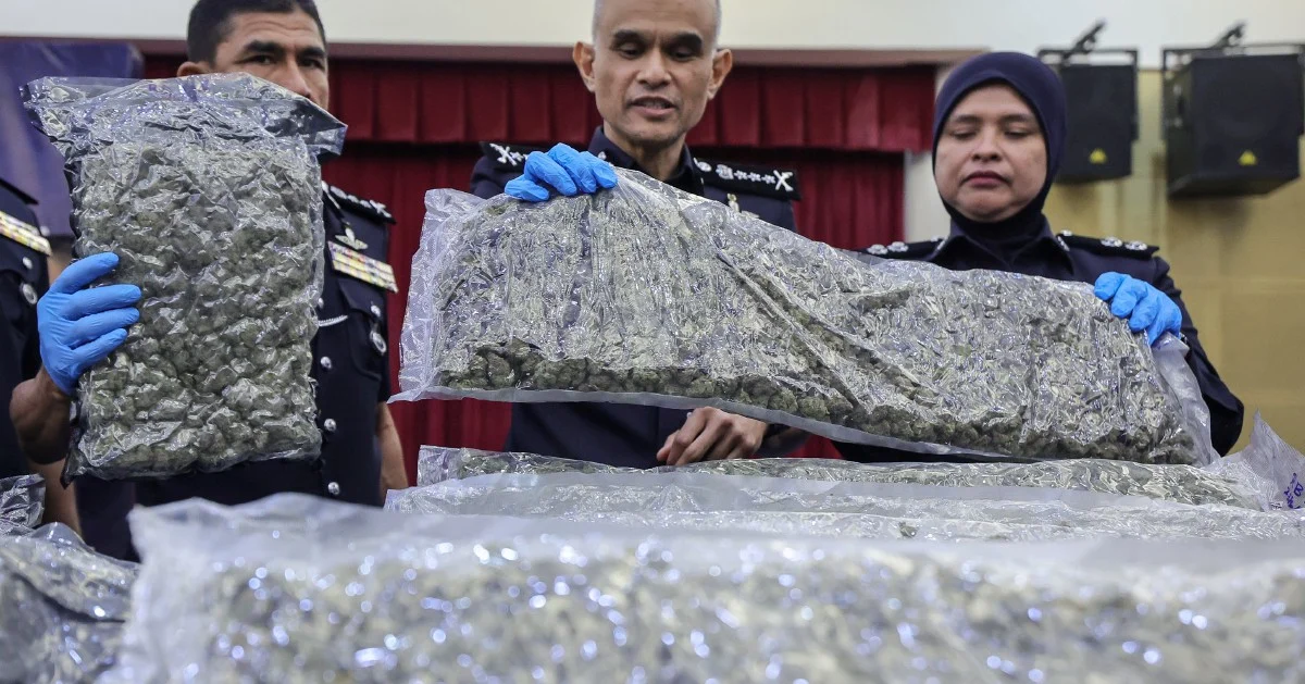 Police Bust Major Cannabis Operation at KLIA; 38 Arrested as Half-Tonne Haul Seized Since January