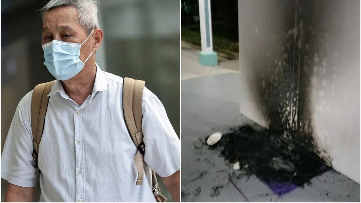 Singapore man jailed for torching community cat shelters in housing block dispute