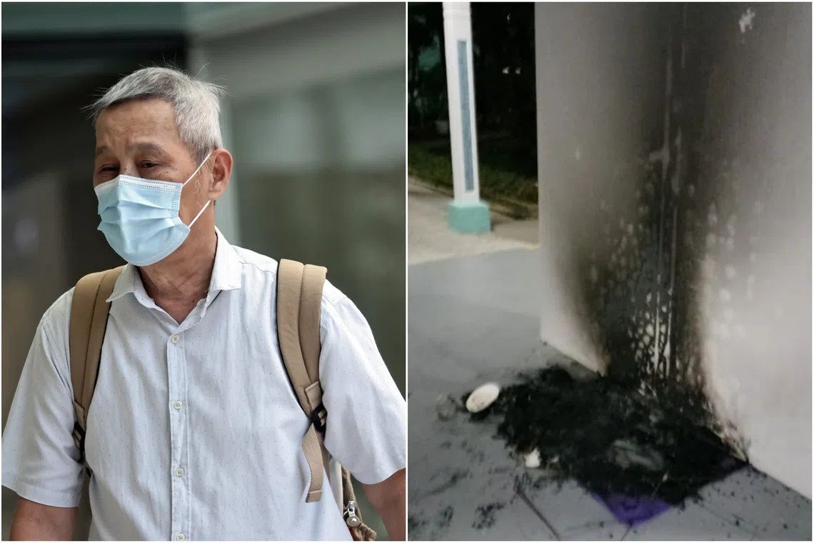 Singapore man jailed for torching community cat shelters in housing block dispute