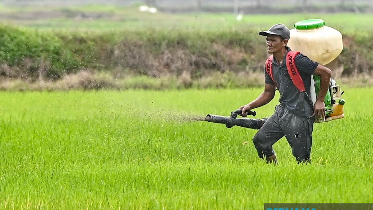 Kelantan Invests RM3.64 Million in Agriculture Push Across Farming, Fisheries and Livestock