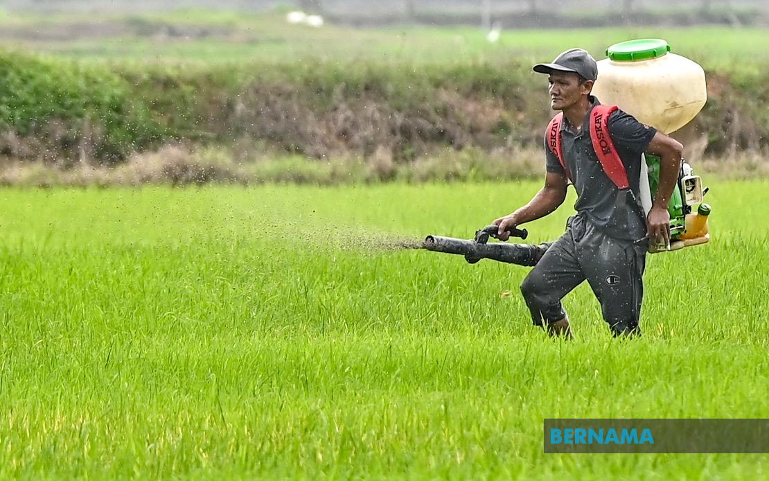 Kelantan Invests RM3.64 Million in Agriculture Push Across Farming, Fisheries and Livestock