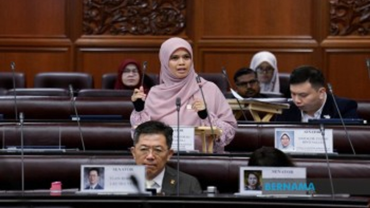 Detailed Study Needed To Assess Anti-competitive Practices On E-commerce Platforms -- Senator