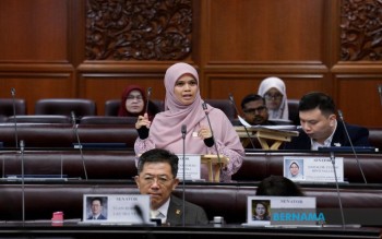 Detailed Study Needed To Assess Anti-competitive Practices On E-commerce Platforms -- Senator