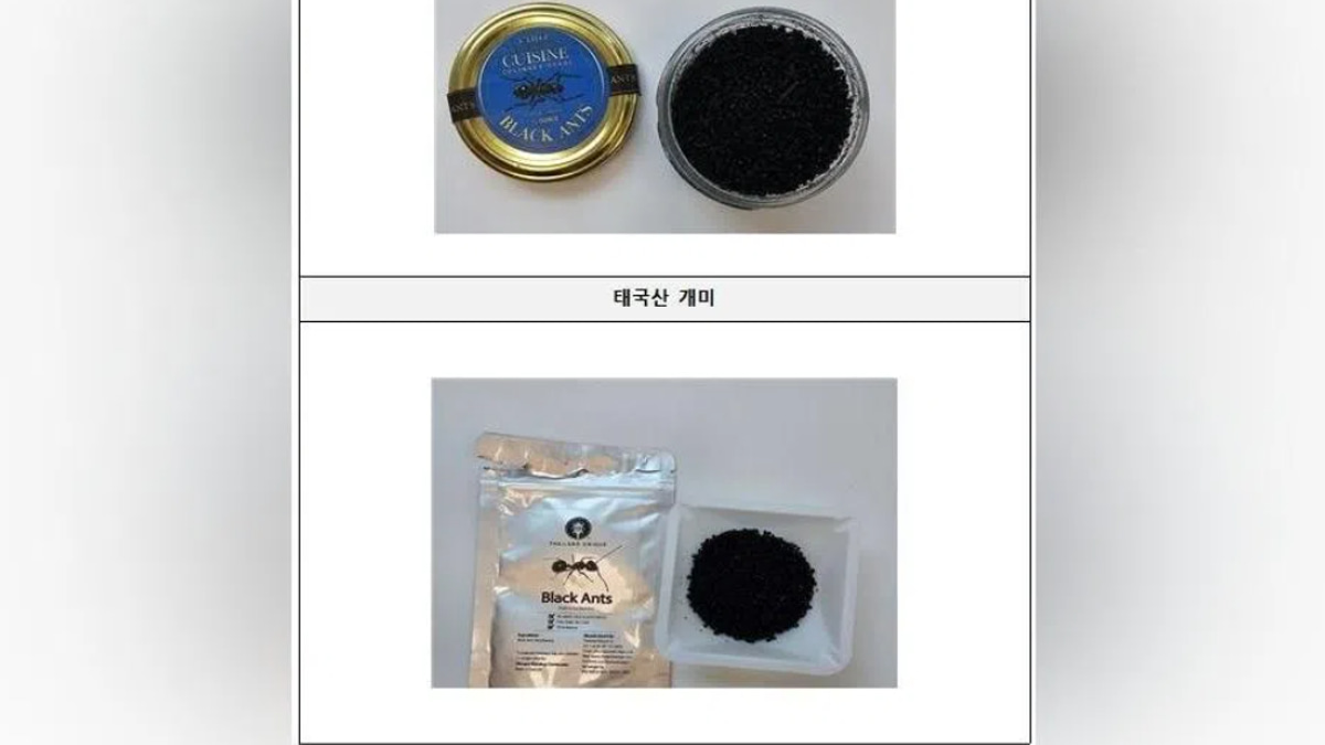 South Korean Michelin-Starred Chef Faces Year in Prison Over Illegal Ant Garnish