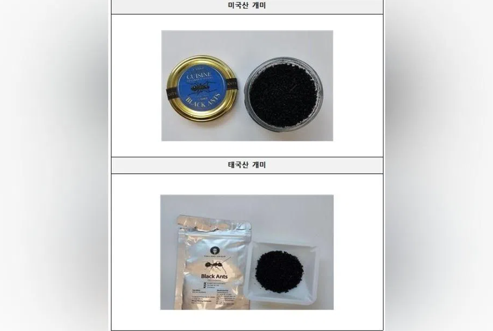 South Korean Michelin-Starred Chef Faces Year in Prison Over Illegal Ant Garnish