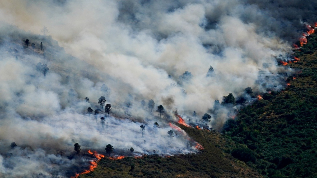 Spain Evacuates Nearly 60,000 as Severe Wildfires Threaten Madrid Region