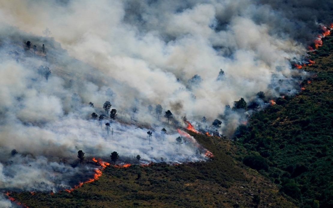 Spain Evacuates Nearly 60,000 as Severe Wildfires Threaten Madrid Region