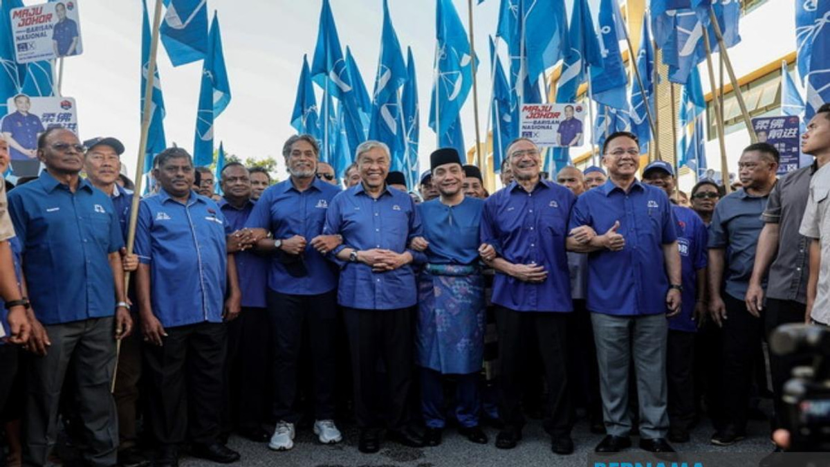 Senior UMNO figures rally behind Onn Hafiz in Johor nomination bid