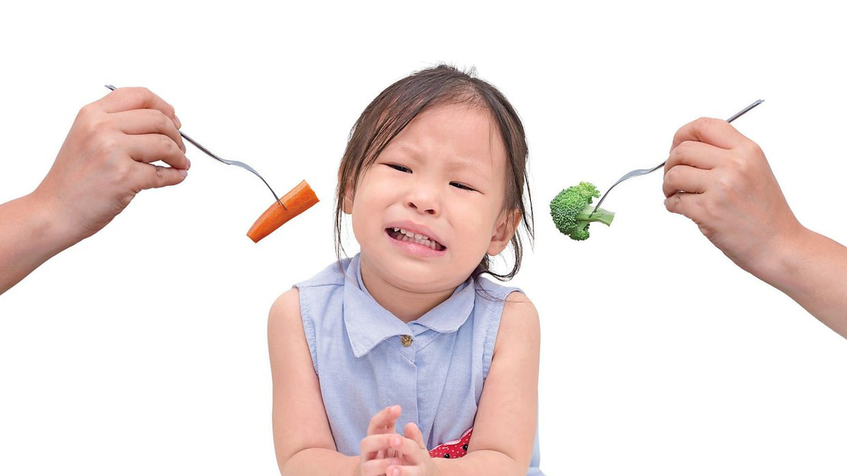 When Your Child Won't Eat: A Paediatrician's Guide to Picky Eating and Genuine Concerns