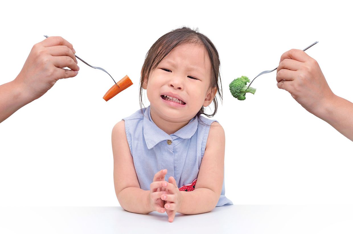 When Your Child Won't Eat: A Paediatrician's Guide to Picky Eating and Genuine Concerns