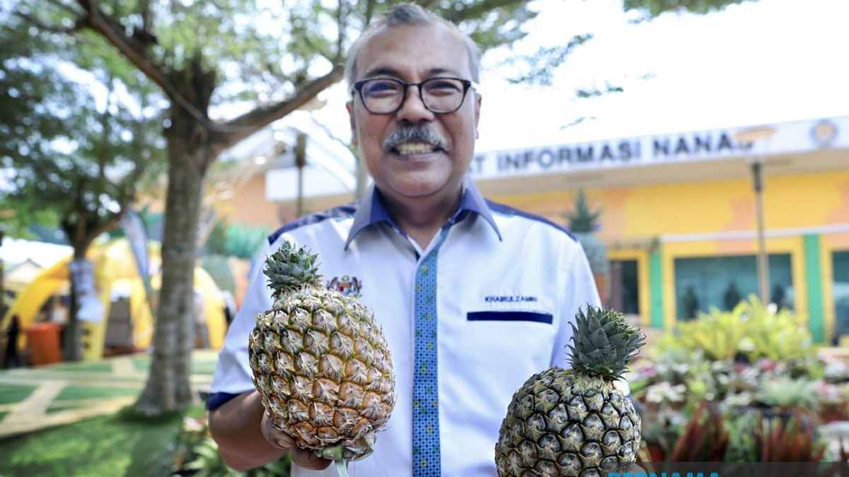 Sarawak's Golden Prize: New SG1 Pineapple Variety Shines at MAHA 2026