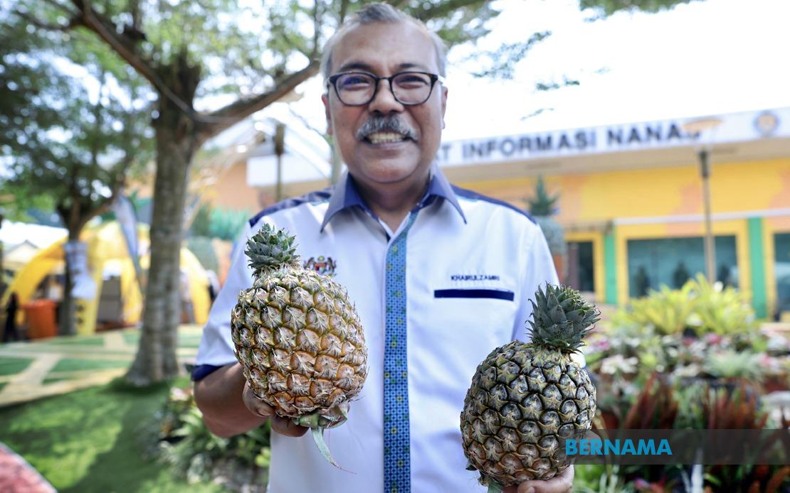 Sarawak's Golden Prize: New SG1 Pineapple Variety Shines at MAHA 2026