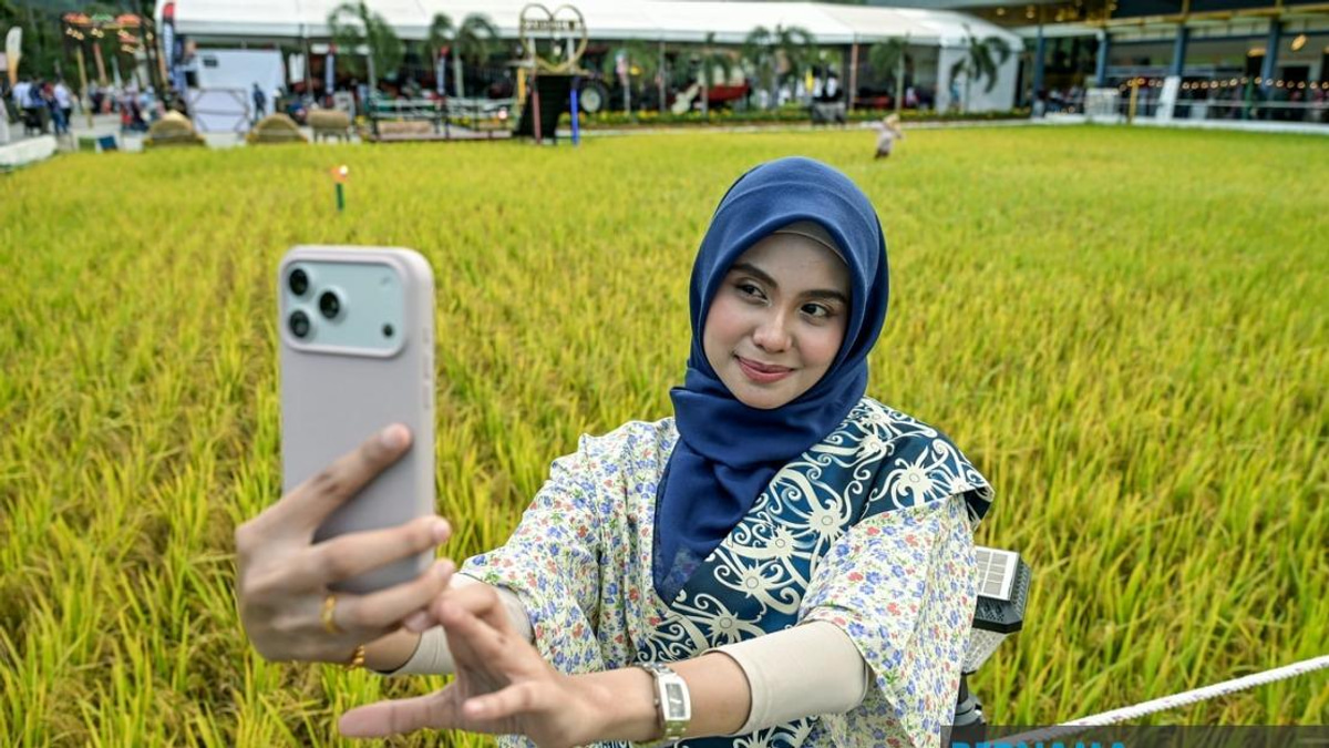 Malaysia Sets New Record with Record-Breaking Paddy Art Display at MAHA 2026