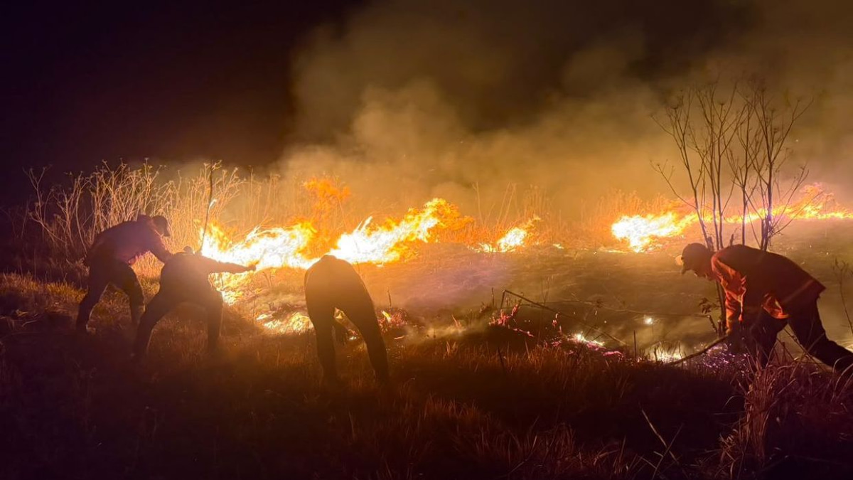 Mount Bromo Wildfire Engulfs 520 Hectares as Winds Intensify Blaze Across East Java