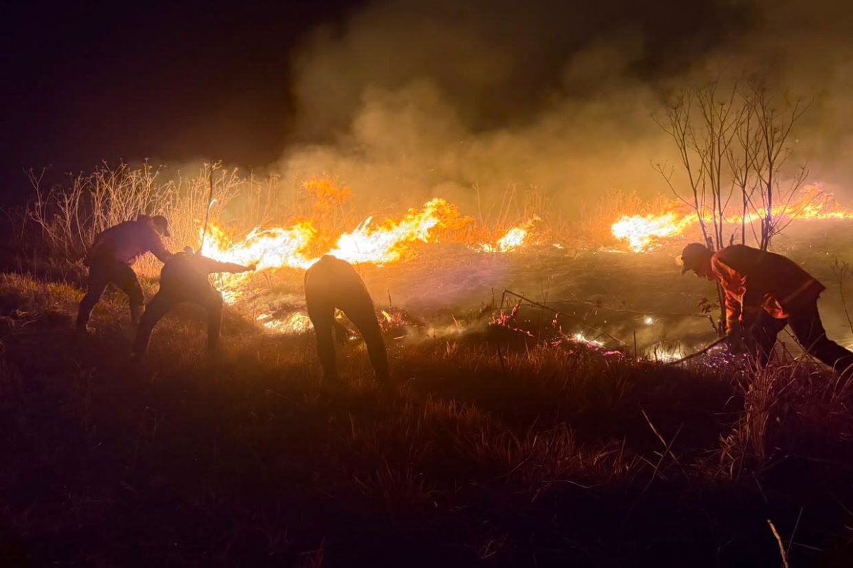 Mount Bromo Wildfire Engulfs 520 Hectares as Winds Intensify Blaze Across East Java