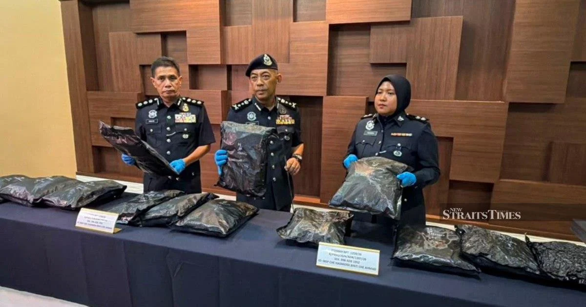 Private University Student Held with RM1.17mil Cannabis Haul at Bukit Kayu Hitam