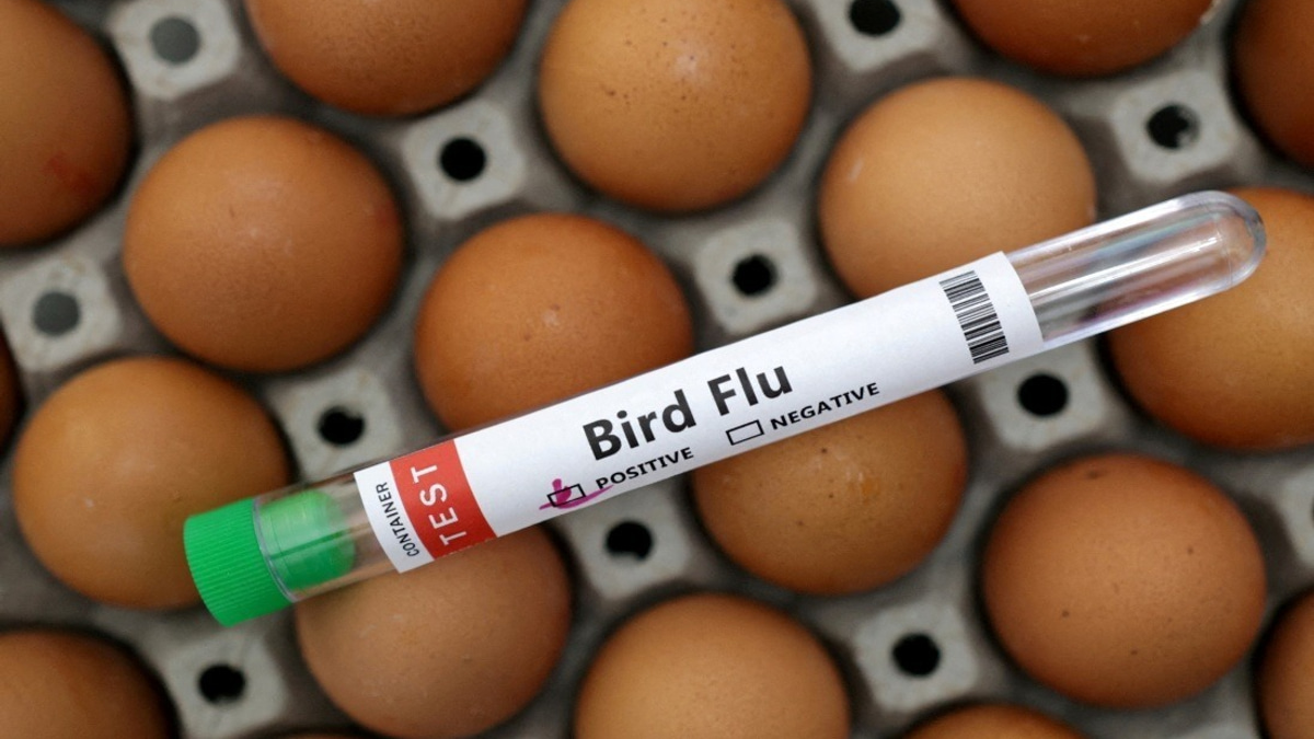 Victoria Orders All Poultry Indoors as H5N1 Bird Flu Spreads Across Australian State