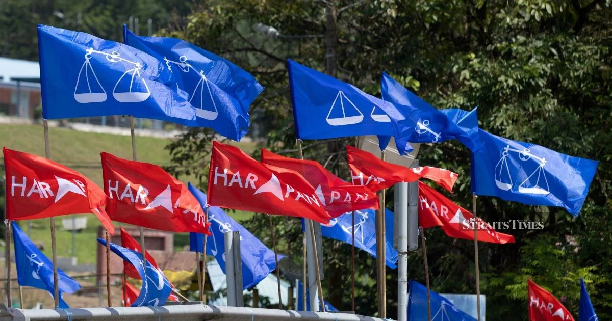 Johor Election Wide Open Despite BN's Survey Lead: 31 Seats Remain Competitive