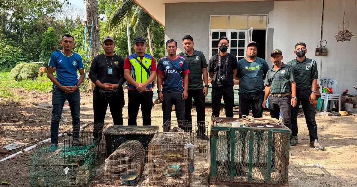 Teen held with nearly RM50,000 in illegal protected wildlife
