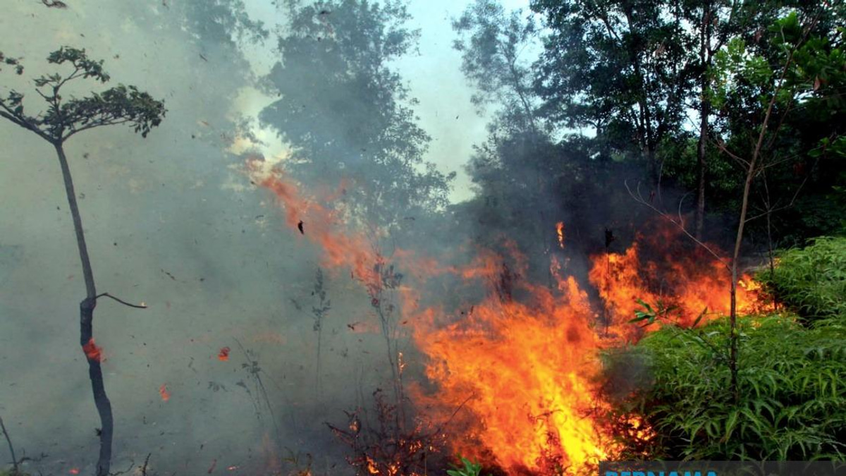 Sabah Fire Department Warns Public Over Open Burning as Indonesian Haze Drifts Across Border