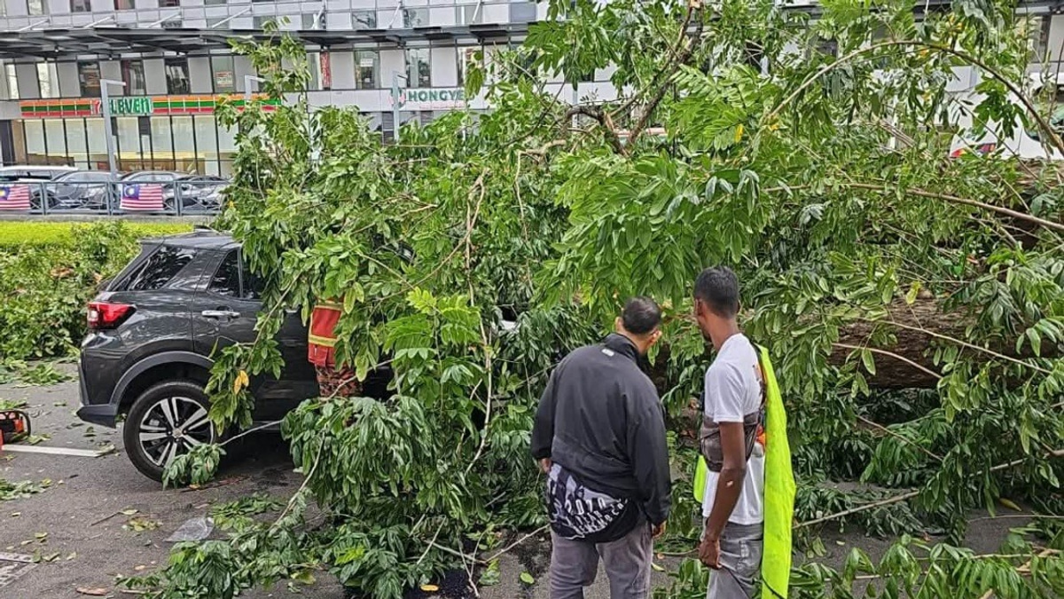 Quick-Thinking Bystanders Save Family After Tree Crashes Onto Vehicle in Penang