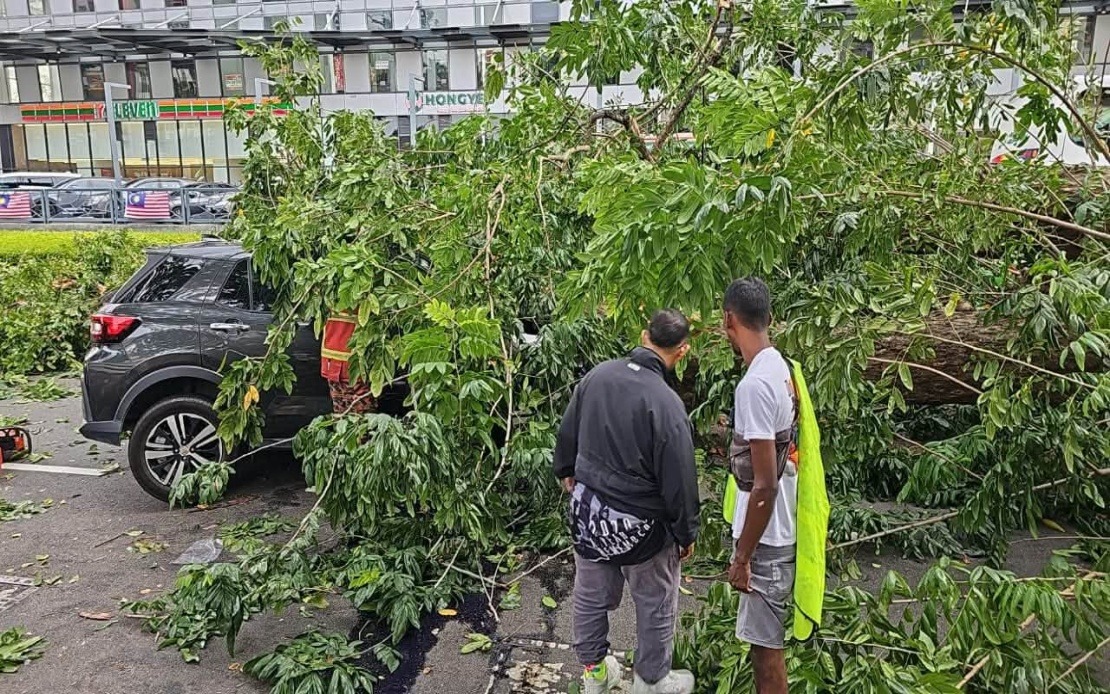 Quick-Thinking Bystanders Save Family After Tree Crashes Onto Vehicle in Penang