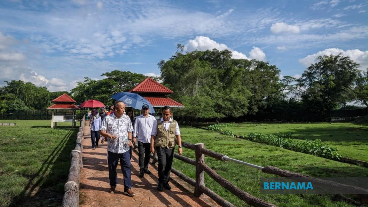 Sabah UMNO Deploys Ground Forces to Back BN in Johor Election