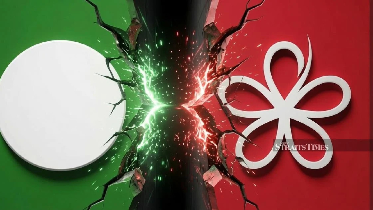 PAS MP cautions Bersatu against contesting state elections, warns of handing victory to opposition