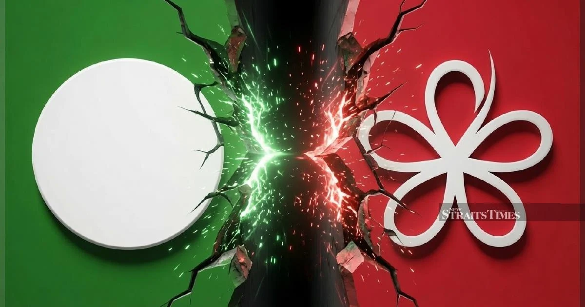 PAS MP cautions Bersatu against contesting state elections, warns of handing victory to opposition