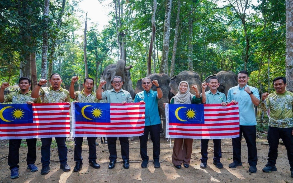 Malaysia's wildlife authorities developing new strategies to tackle escalating human-elephant conflicts