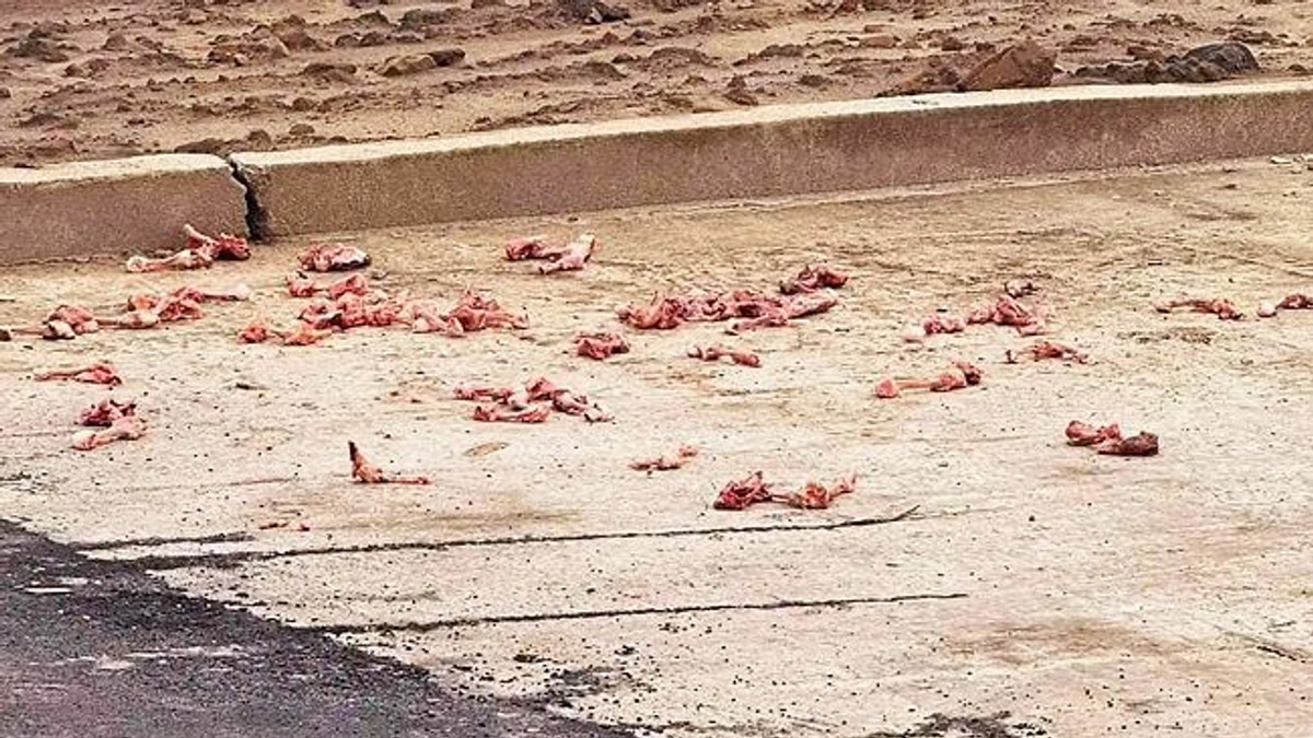 Malaysian fined BN$300 in Brunei for illegal food waste disposal