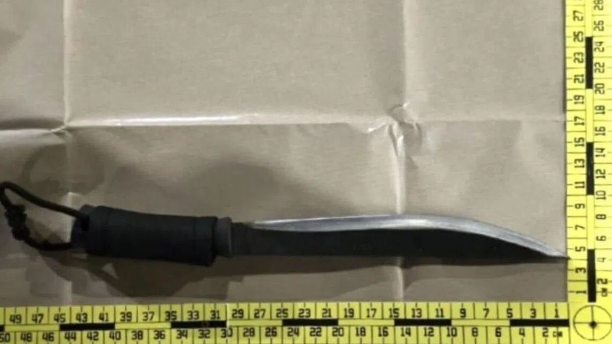 Four arrested in Singapore over parang-wielding abduction linked to car rental dispute