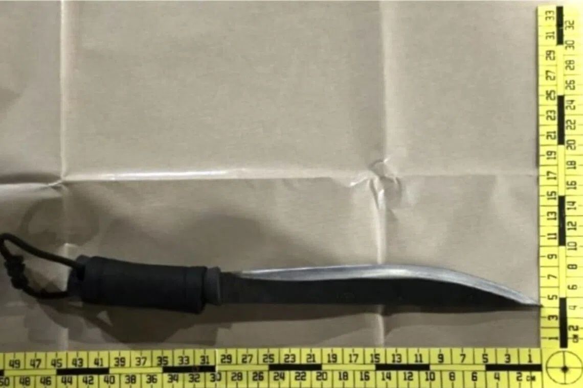 Four arrested in Singapore over parang-wielding abduction linked to car rental dispute