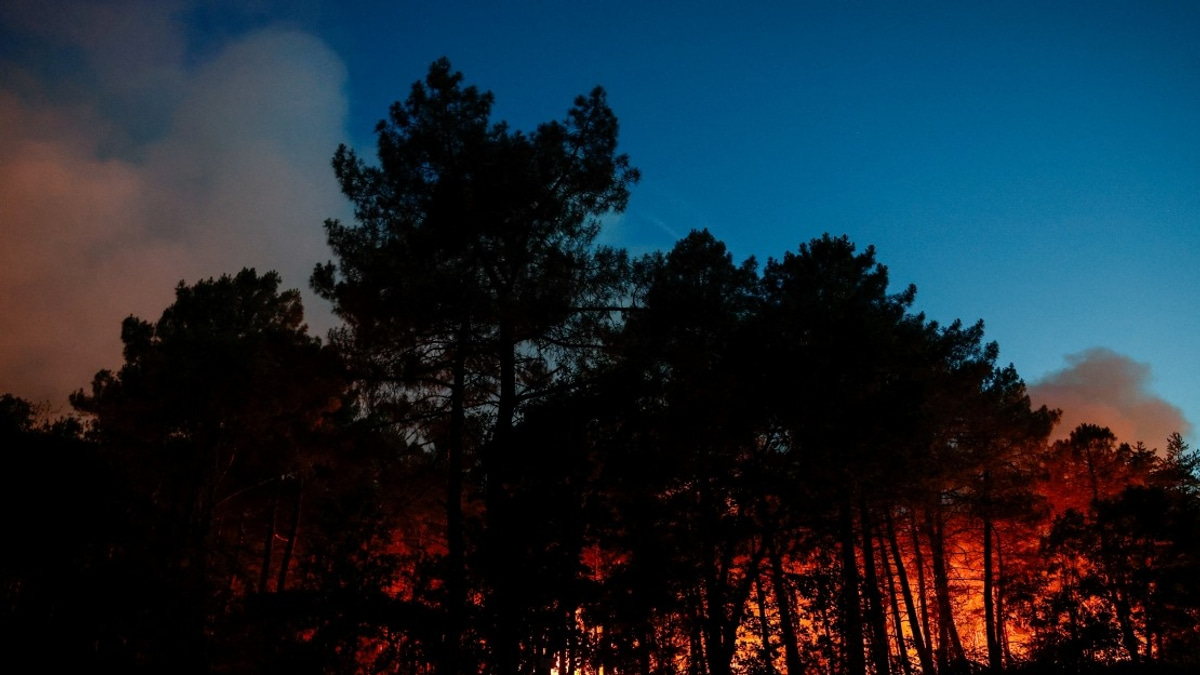 Major Wildfire Engulfs Historic Fontainebleau Forest Near Paris