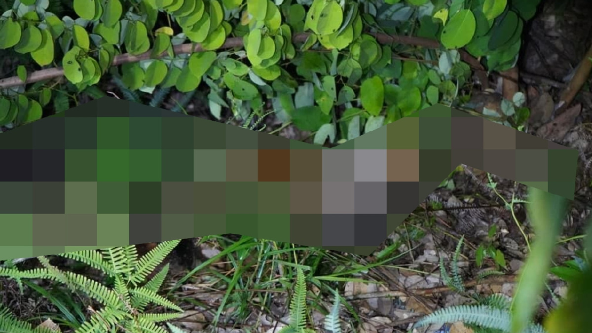 10-Year-Old Girl Found Dead in Sabah; Two Men Arrested for Murder