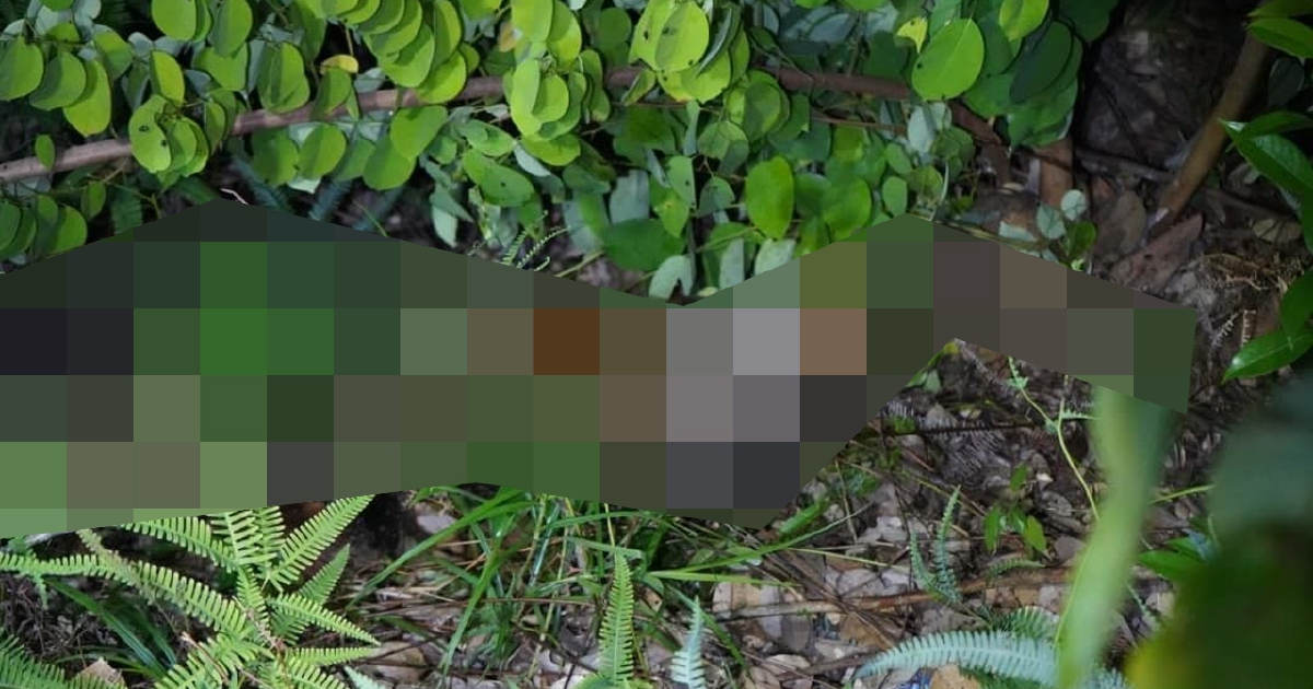 10-Year-Old Girl Found Dead in Sabah; Two Men Arrested for Murder