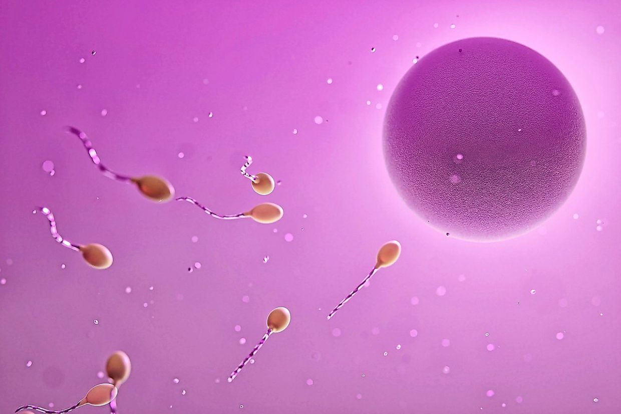 Understanding Infertility Treatments: How Ovulation-Stimulating Drugs Work