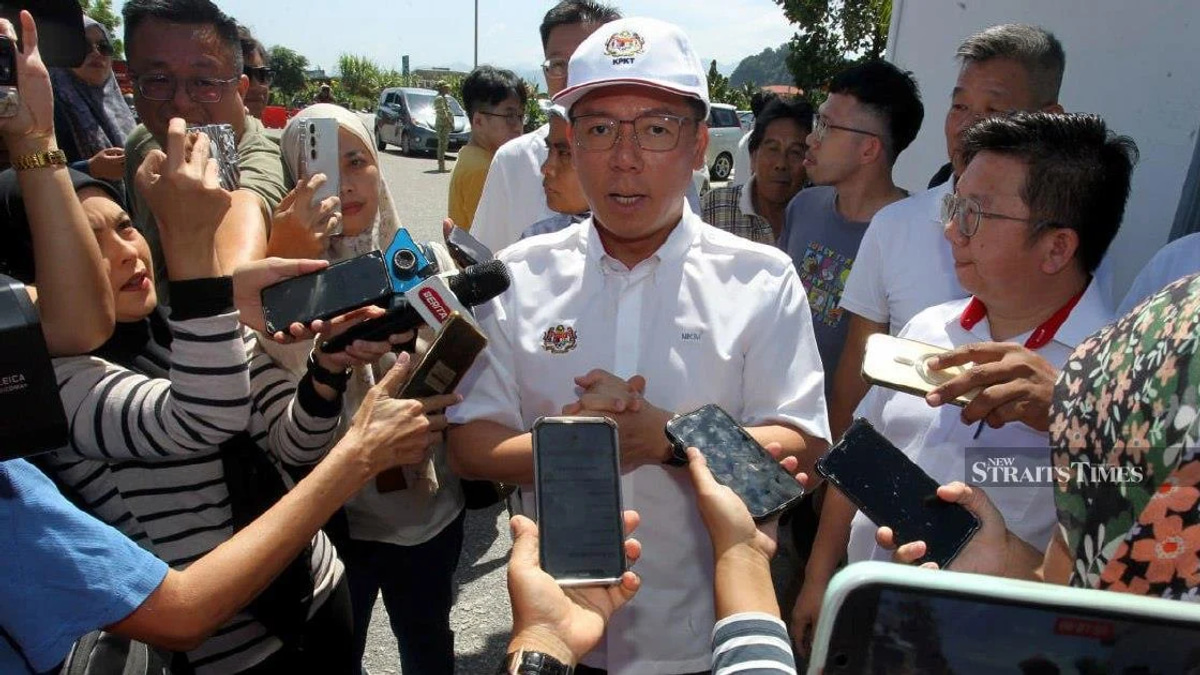 Nga Reiterates Resignation Pledge Over Najib's Sentence Concerns