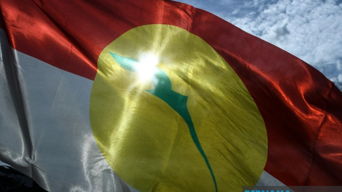 UMNO Members Must Put Party Unity Above Personal Interests Ahead of Johor Election, Azalina Says