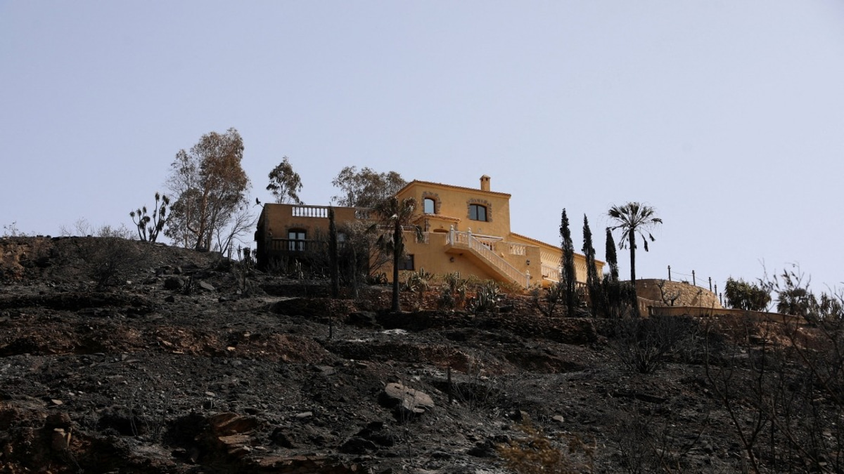Death Toll From Southern Spain Wildfire Climbs to 13 as Blaze Contained