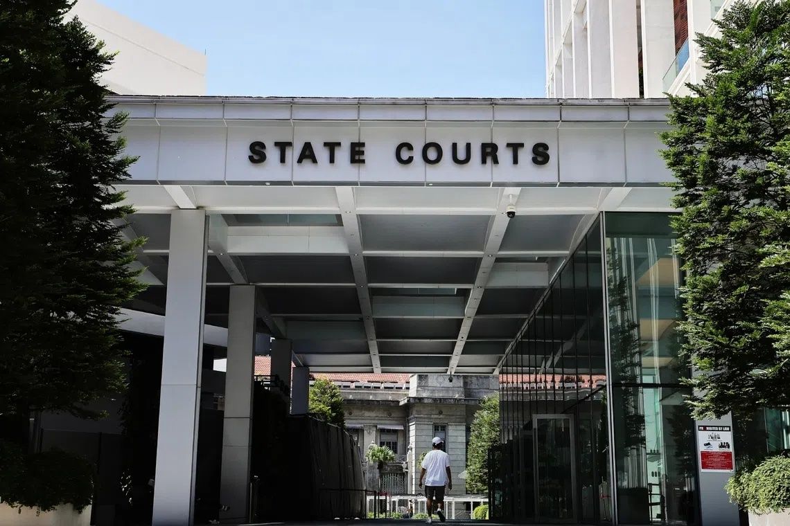 Singapore Zoo Bribery Scheme: Constructor Jailed for S$127,000 Corruption Plot