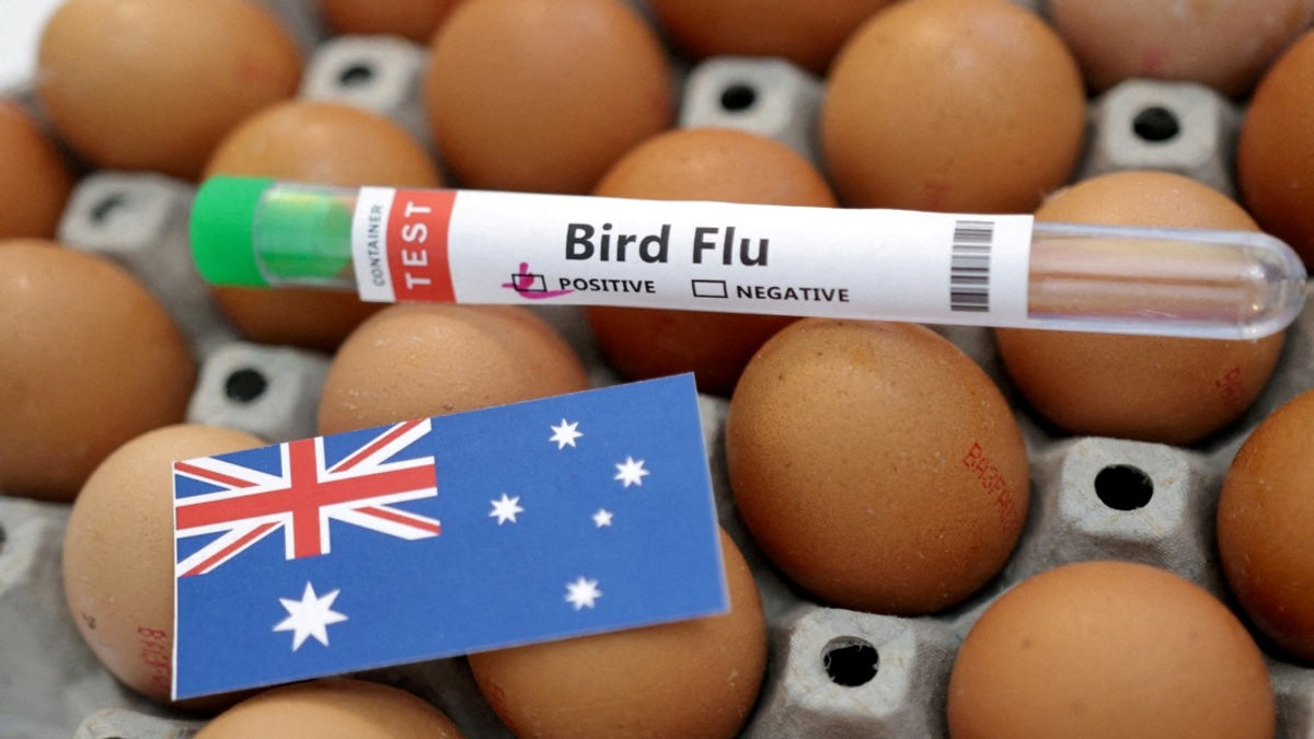 Australia Confirms First H5N1 Bird Flu Case in Local Wildlife, Raising Regional Biosecurity Concerns