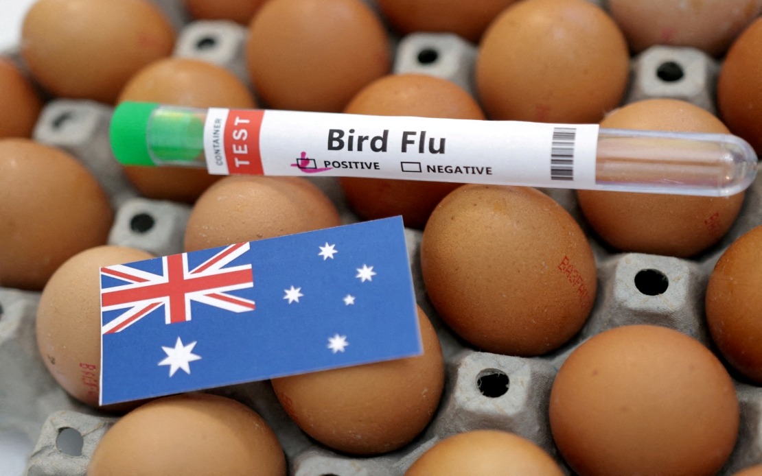 Australia Confirms First H5N1 Bird Flu Case in Local Wildlife, Raising Regional Biosecurity Concerns