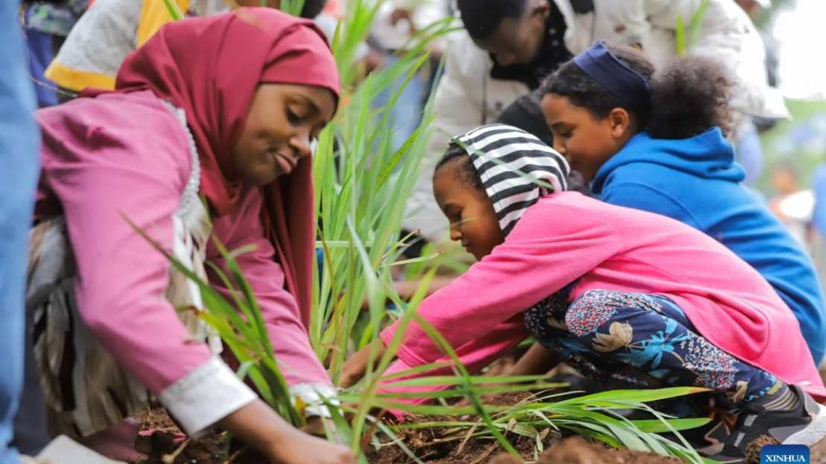 Ethiopia's Bold Green Push: 800 Million Trees Planted in Record One-Day Campaign
