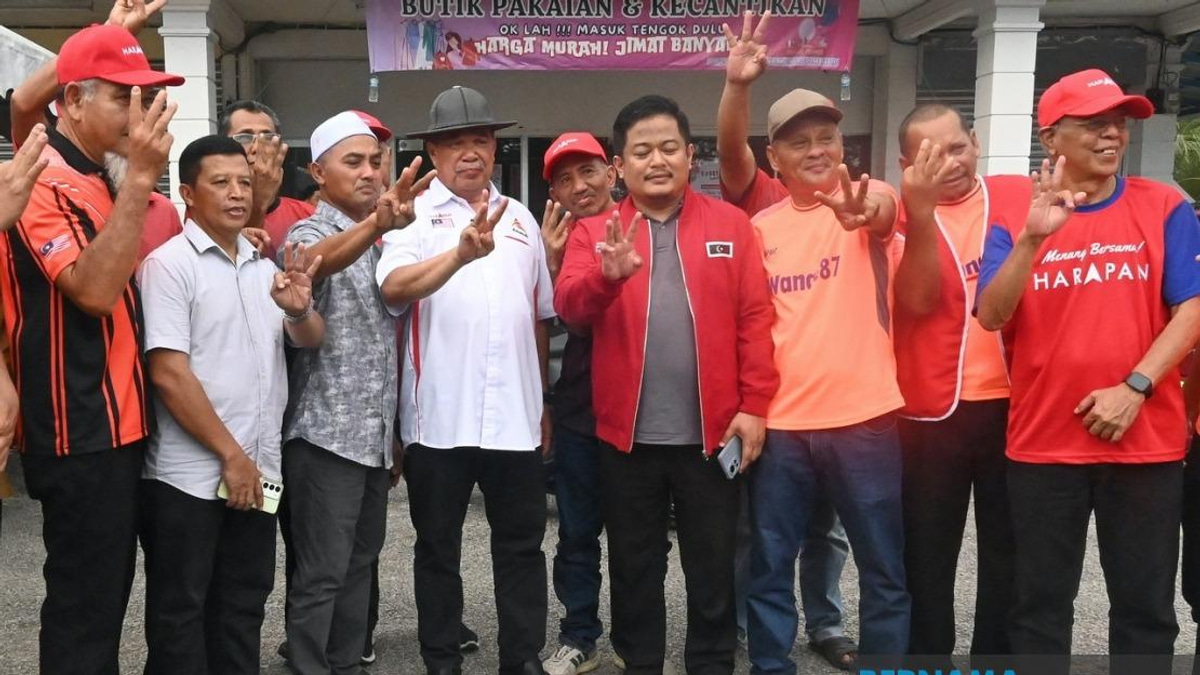 Johor Voters Must Back PH to Deliver Manifesto Promises, Says Mohamad Sabu