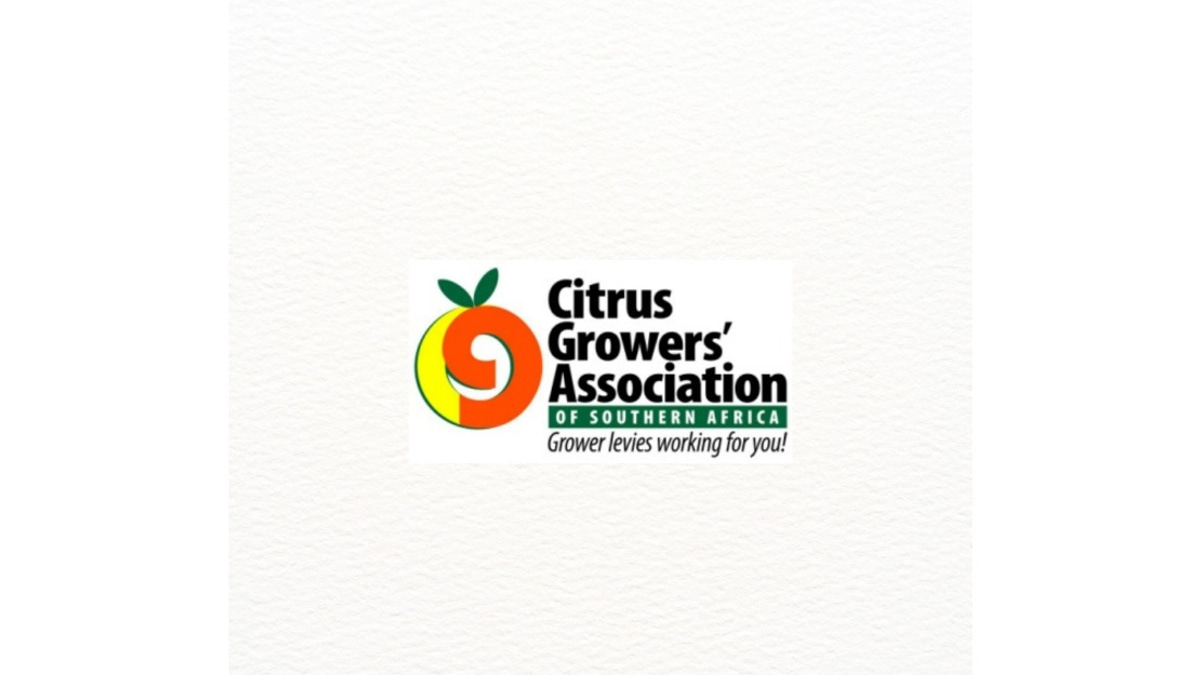 South Africa and India Unlock Citrus Trade After Decade of Negotiations
