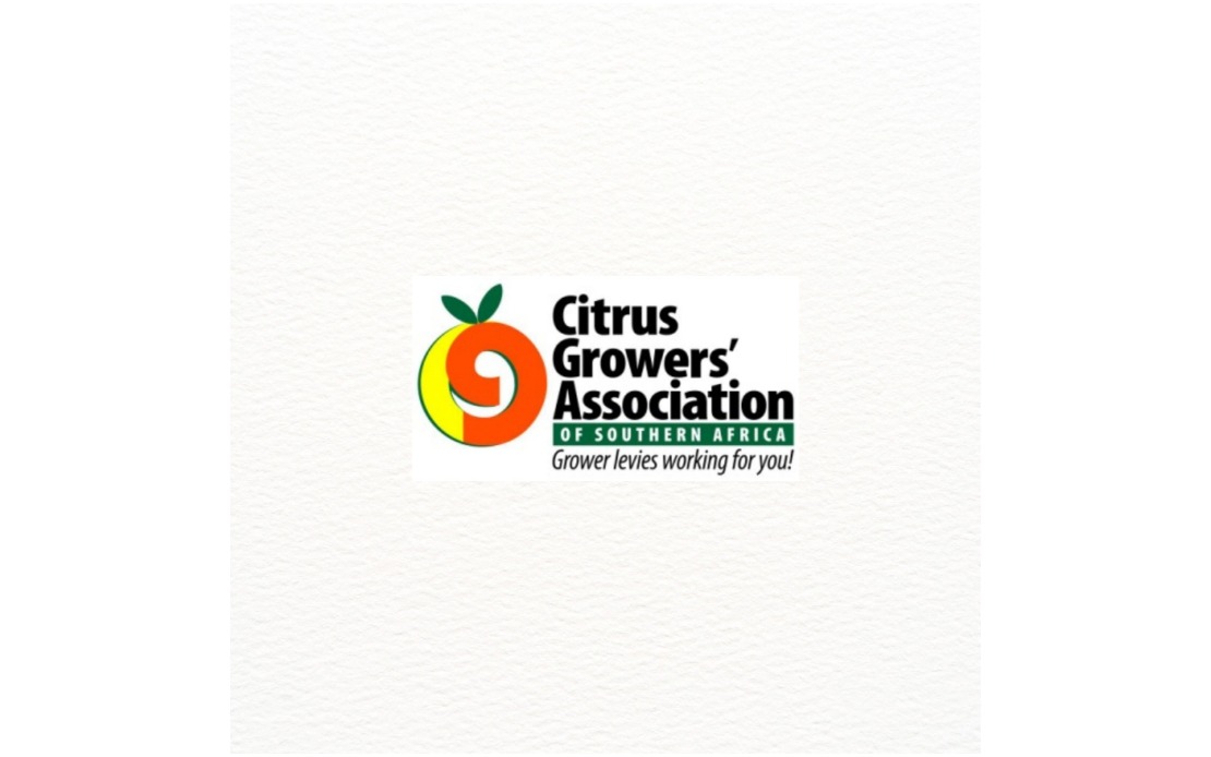 South Africa and India Unlock Citrus Trade After Decade of Negotiations