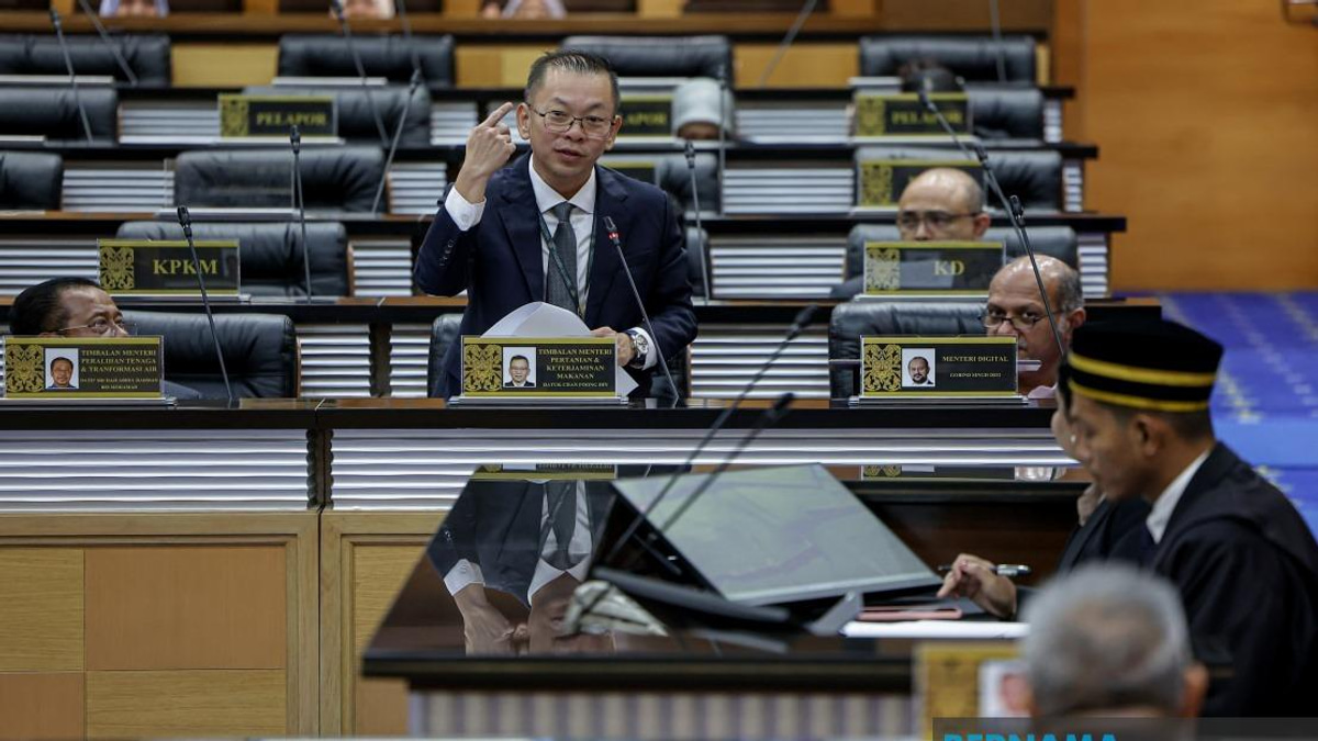 Rice Act enforcement to spare paddy farmers, target supply chain players